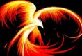 /album/galeria/ave-fenix-1-jpg1/